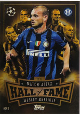 Wesley Sneijder